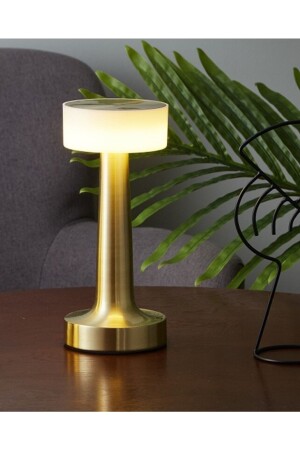 مصباح الطاولة المزخرف MNZ LED قابل للتشغيل 3 ألوان مصباح لمس تدمير الغلاف الجوي ضوء الليل - Protonust