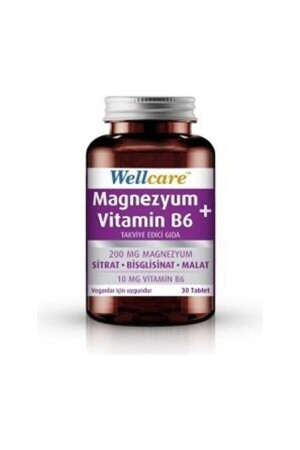 MNZ- Magnesium+ فيتامين B6 مكمل غذائي 30 قرص - Wellcare