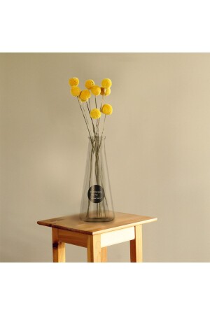 (MNZ) - عباس زجاجي شفاف - Miniminti