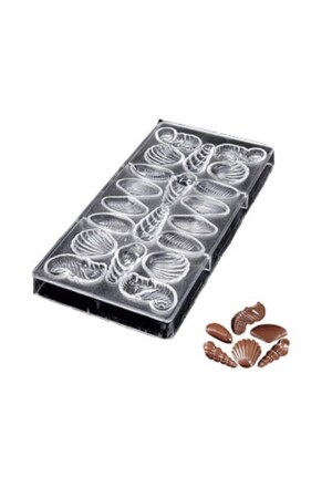 MNZ-بوليكاربونات شيكولاتة مولد البحر pk015 - Global