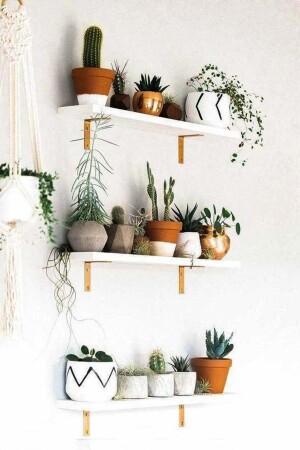 MNZ-تزيين ثلاثي الجدار رف معدني ساقة طعم زهرة - Ramazan Küçük