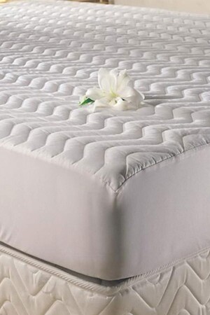 المدرسة MNZ-المدرسة المزدوجة المثبتة المدرسة المثبتة المدرسة SCL556161 - Taç