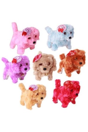 كلب (MNZ) - كلب (Toy) - (Toy Dog) - (Toy Dog) - (Toy Dog) - (MNZ-Toy Dog) - (Toy Dog - Mia