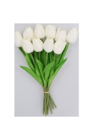 (MNZ) - (Tulip) البيضاء المبللة 10 مكونات - Çiçek