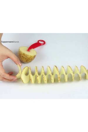 طائرة من طراز MNZ - Tupperware