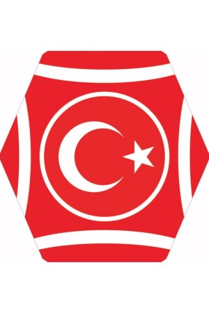 العلم التركي من المنطقة (MNZ) الطائر المزلق من البلاستيك الستبعيني U101 - Onur uçurtma her çocuğun bir masalı olmalı