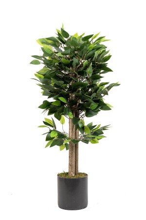 شجرة بنيامين الاصطناعية من MNZ مع أوراق كثيفة في الخزينة الرمادية - Yapay Çiçekçiniz