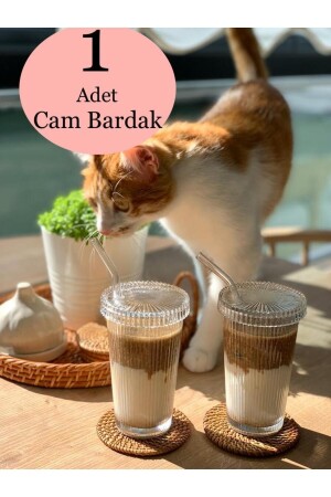 MNZ-1 قطعة 400 مل كوب زجاجي أوريجامي مع غطاء زجاجي و القش - KÜÇÜK EW