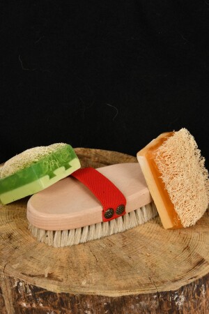 MNZ-100% من شعر الخيول الطبيعي فرشاة السيلوليت و ألياف الخزف العسل حمار الحمار حليب الحلوة الفيرا صابون مجموعة من 3 22SS - Şık Kalıp