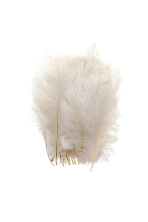 MNZ-100 قطع من ريش الطيور عروسي الفضلات الالتزام المروحة ديكورات المواد الكريم - Yeni Hediyelik Dünyam