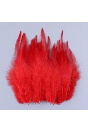 MNZ-100pcs ريش الطيور الحمراء 1 5x2 ريش الطيور الحمراء للتزيين - Aker Hediyelik