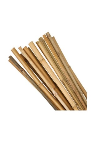 MNZ-180 سم عصا 10 قطع 14-16 مم عصا - Bambu