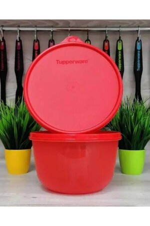 MNZ-2 حاوية تخزين 1 قطعة TYC00696997805 - Tupperware