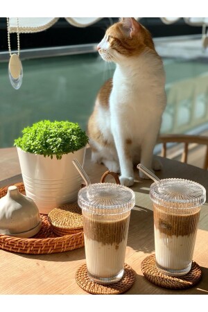 MNZ-2 قطع 400 مل كوب زجاجي أوريجامي مع غطاء زجاجي وقطعة قش ، كوب قهوة وترشيح ، كوب مشروبات ملونة - Küçük Ew