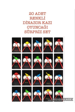 MNZ-20 قطع ملونة الديناصورات مجموعة التنقيبات الأثرية التعليمية التعليمية علم النشاط النشاطات الأنواع الديناصورات مجموعة - Aziz Oyuncak
