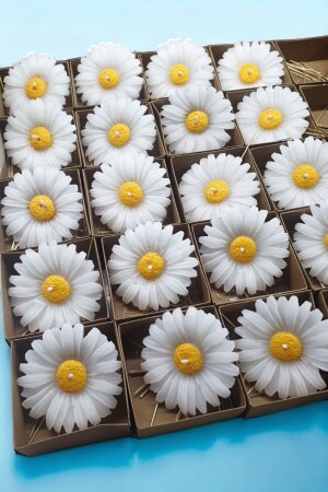 MNZ-20 كرافت كونتيز ديزي - Erse Home