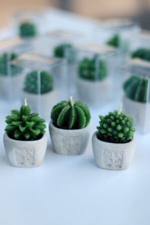 شمعة كاكتوس MNZ-3 - Davetiyen