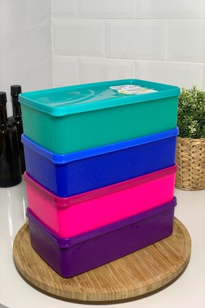 MNZ-4 قطع ألاسكا حاوية تخزين مكفأة في التجميد العميق 2100 مل لا يوجد ثلج ومكففأة في الحاوية sa-980 - ErtusHome