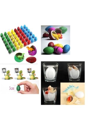 بيض ديناصور MNZ-4 التي تتحطم وتنمو عندما تبلل بيض ديناصور - indirimlial