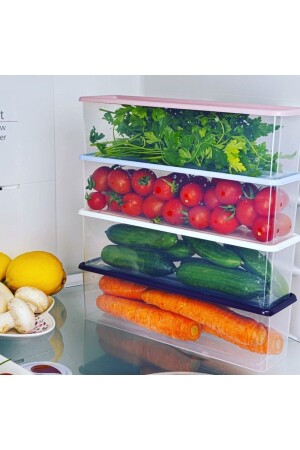 MNZ-4-قطعة حاوية تخزين مجموعة الغطاء الملونة RP-0001 - ray plastik