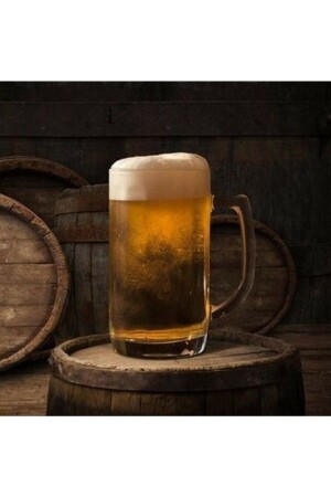 MNZ-4-pack 370 سي سي زجاج البيرة الأرجنتينية مع التحكم Paşabahçe سلسلة النموذج من 4. - Paşabahçe