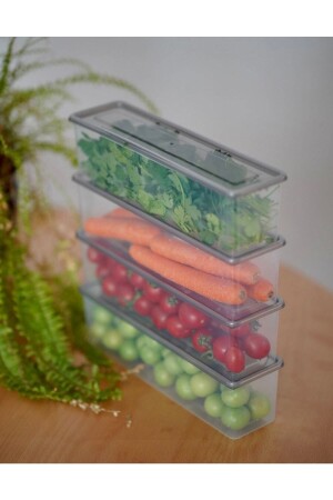 MNZ-4-piece حاوية تخزين دخان شفافة مع غطاء 1.5 ليت RP-0028 - ray plastik