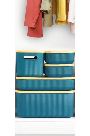 MNZ-5 قطعة الخزنة الخضراء منظمة تخزين السلة مع الجوارب الغطاء الملابس منظمة 5pcs-مجموعة BYV-8451132 - Bayev