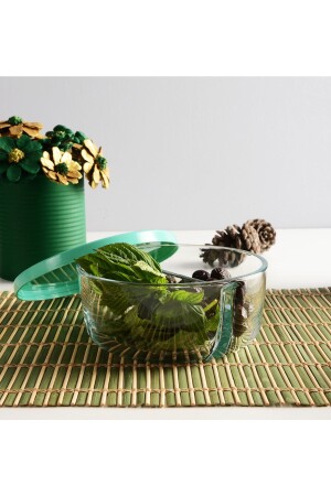 MNZ-530683 قطبي 2 مقعد غطاء مخزن تخزين غطاء خضراء 4 قطع 785 Cc 530683-1119002 - Paşabahçe