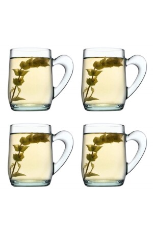 MNZ-55521 جمع واعية إعادة التدوير الزجاج مع معقب 4 قطع PP55521 - Paşabahçe