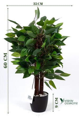 MNZ-60 Cm ورقة كثيفة شجرة بنيامين الاصطناعية في وعاء أسود مع تفاصيل الحجر - Yapay Çiçekçiniz