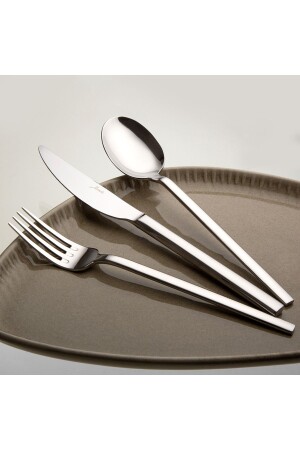 MNZ-8100 84 قطعة طلاء مجموعة 12 شخص 500 01. 01. 5547 - Jumbo