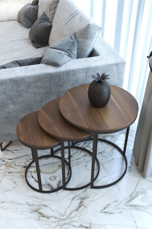 MNZ-Akb مفهوم طاولة قهوة العشب - لوحات كوب كرتون CPRS1070 - CAPRİDOS MOBİLYA