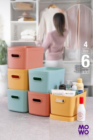 MNZ-Alegra 6 قطع 4 Lt MIX صندوق منظمة الخزانة متعددة الأغراض مع الغطاء - صندوق تخزين ديكوراتي - Mowo Home