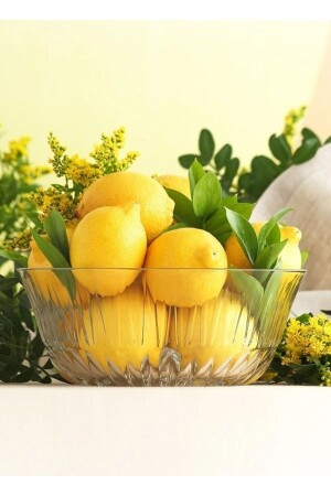 MNZ-Alinda One Piece كأس سلطة كبيرة LV-ALN290R6 - Lav