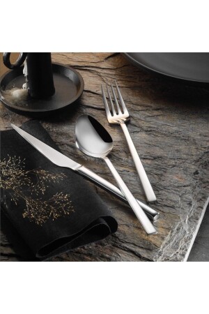 MNZ-Alize 60 قطعة ملعقة مجموعة ل 12 شخصًا مقبضة ARSL-ALZ-60PRC - Arsel