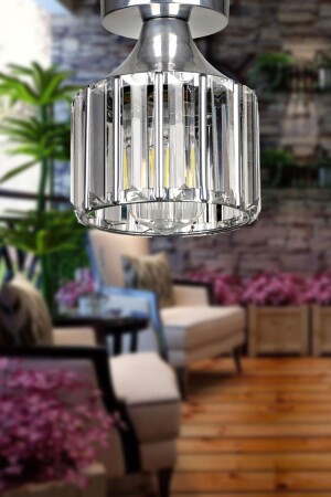 MNZ-Arel Crystal Ceiling Mounting Single Chandelier Chrome BEG0763 - Begüsa