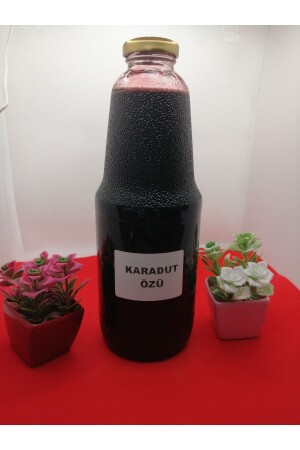 MNZ-Balıkesir Havran مستخلص الخمر الأسود بدون سكر 1.5 كجم 12871 - Gelin Deresi