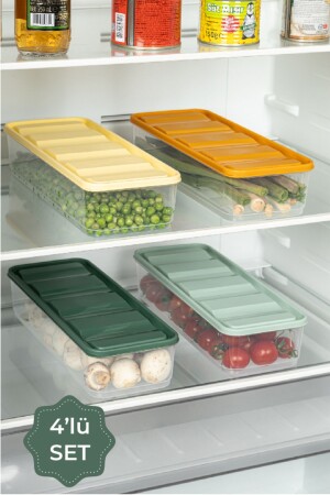 منظمة الثلاجة MNZ-Bella مع 4 تغطية ملونة 1-65 ليتر - Vienev