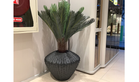 (MNZ-Black Flower Pot with Flowers) - 20472 - Cadde Yıldız