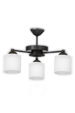 MNZ-Black Rustique Model Chandelier LMBDR35881 - Lambadar