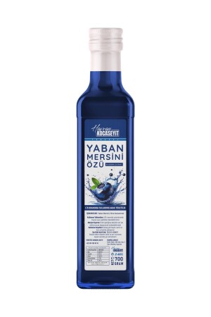 MNZ-Blueberries 700 جرام - Havran Kocaseyit
