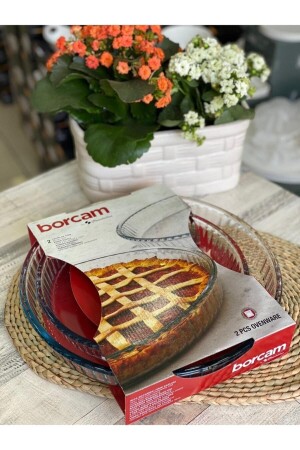 (MNZ-Borcam 629242) - Paşabahçe