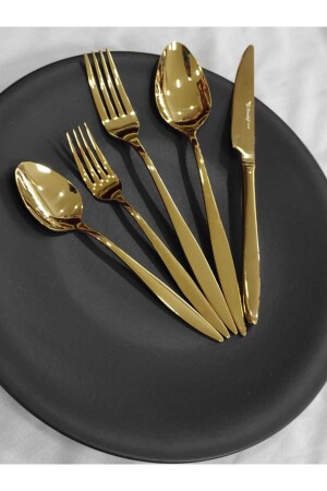 MNZ-Carmen 60 قطعة سكين ملعقة الشاي الفوكة المعدل لـ 12 شخصًا بدون ملعقة CMDCSGGTGS33 - BRONDOFF