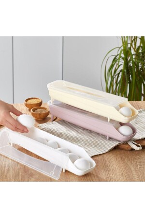 منظمة MNZ-Carpe حاملة البيض صندوق 2 صناديق منظمة عملية سهلة - Dempa