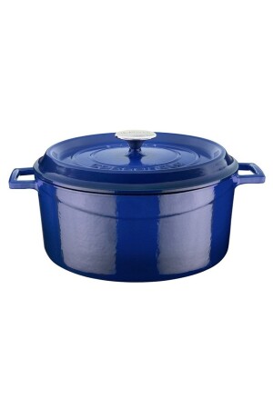 MNZ-Cast Iron Pot Round Diameter ((Ø) 24 سم عصرية الأزرق 446Rseries 2016ST02122848 - Lava