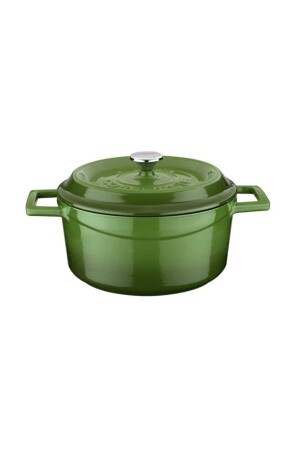 MNZ-Cast Iron Round Pot عصرية 20 سم خضراء PRA-454972-9544 - Lava