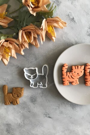 قشرة كوكي MNZ-Cat - Cestopieno