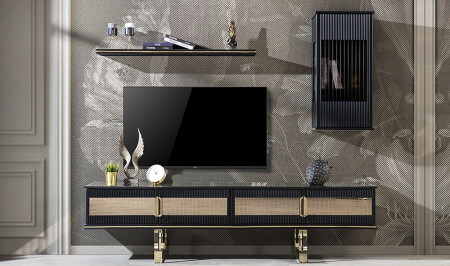 وحدة تلفزيونية منخفضة من نوع 