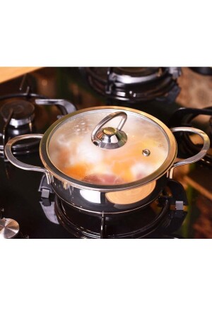 MNZ-Daphne - حاوية الفولاذ ضئيلة 16x5 سم B3058 DAPHNE STEEL POT SHALLOW 16X5 - Bambum