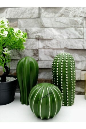MNZ-Decorative 3pack كاكتوس ترينكيت lv1 - patienc